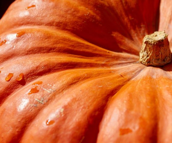 pumpkin-2736964_1280